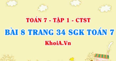 Bài 8 trang 34 SGK Toán 7 chân trời sáng tạo tập 1